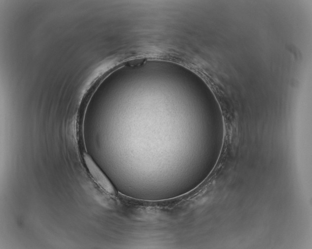 X0000110940244200906261306