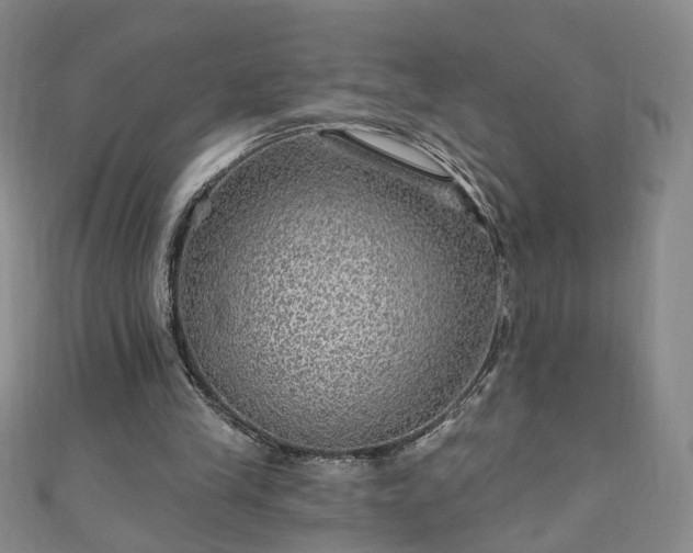 X0000110940245200906261306