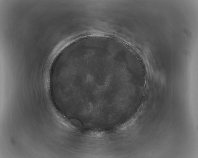 X0000110940247200906261306