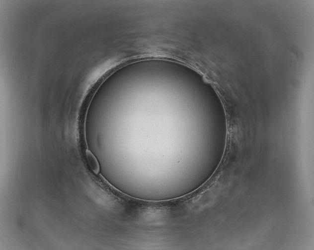 X0000110940248200906261306