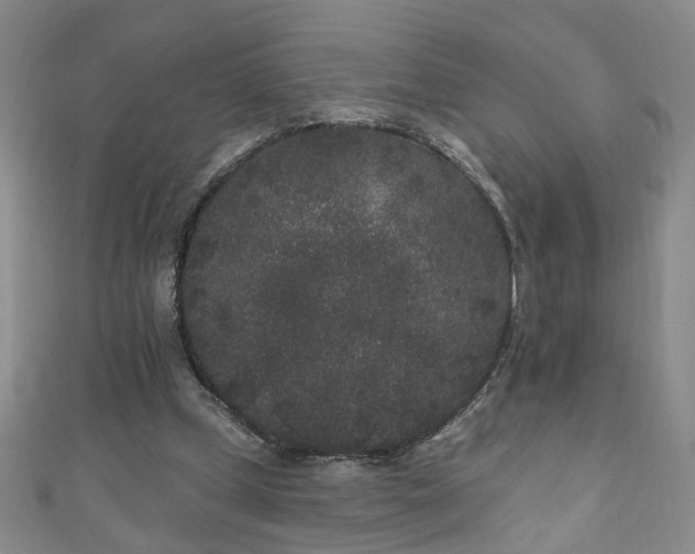 X0000110940249200906261306