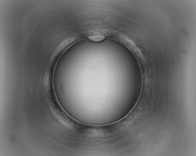 X0000110940250200906261306