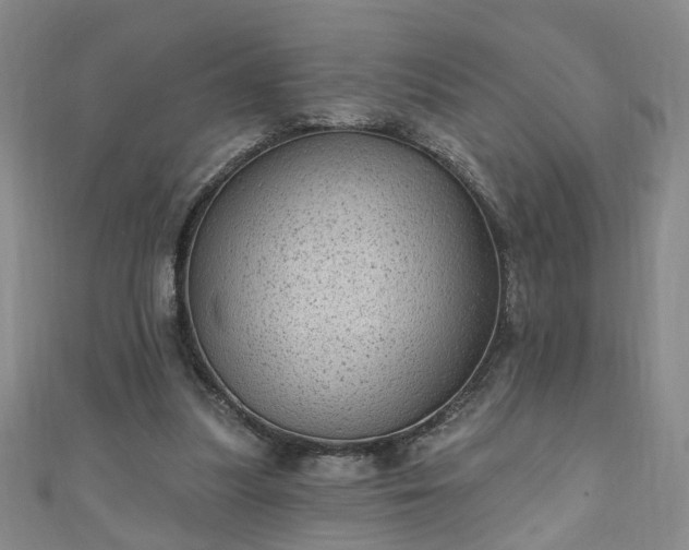 X0000110940251200906261306