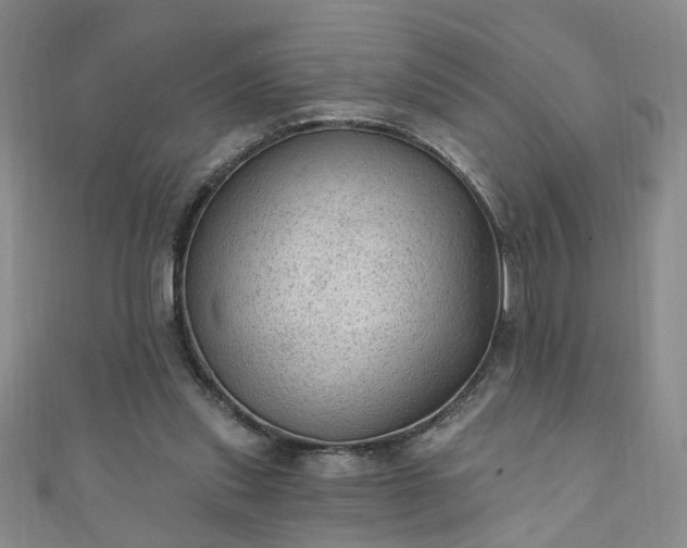 X0000110940253200906261306