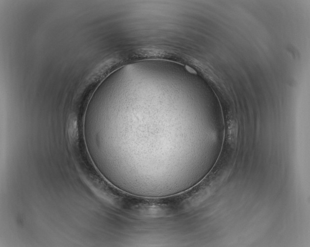 X0000110940254200906261306