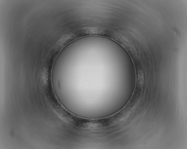 X0000110940255200906261306