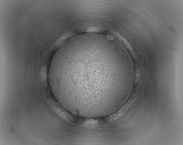 X0000110940257200906261306