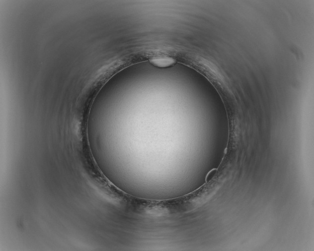 X0000110940258200906261306