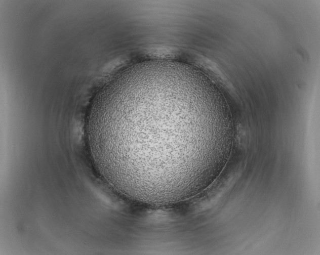 X0000110940259200906261306