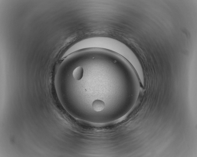 X0000110940260200906261306