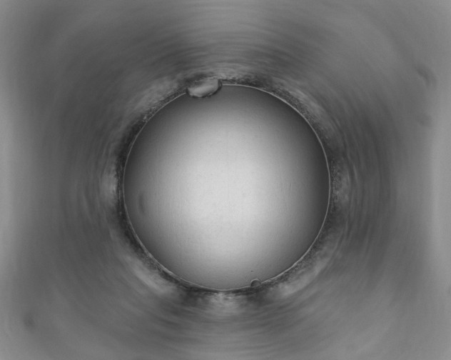 X0000110940261200906261307