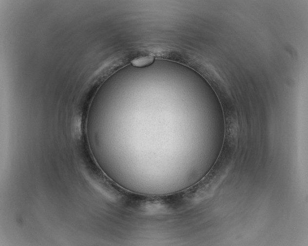 X0000110940262200906261307