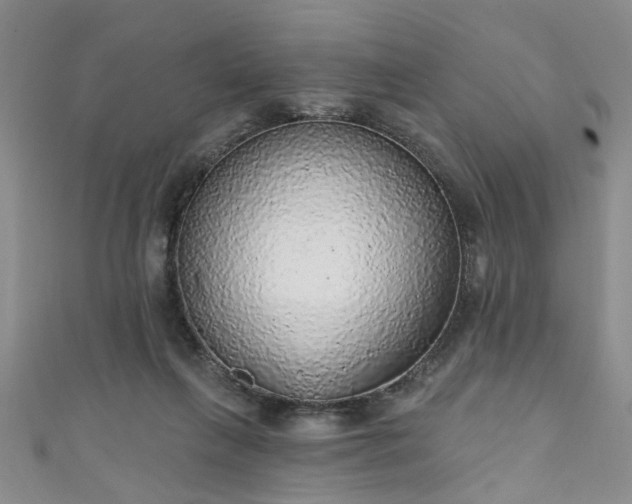 X0000110940263200906261307