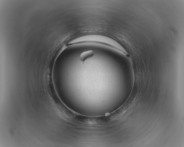 X0000110940264200906261307