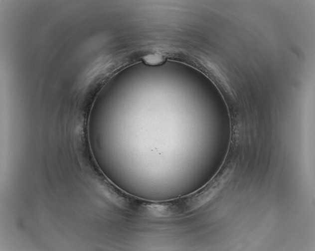 X0000110940265200906261307