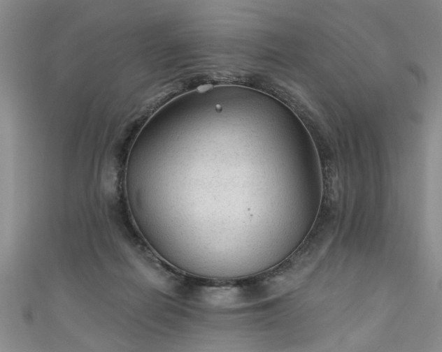 X0000110940266200906261307