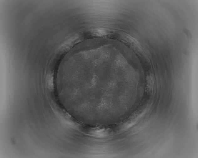 X0000110940267200906261307