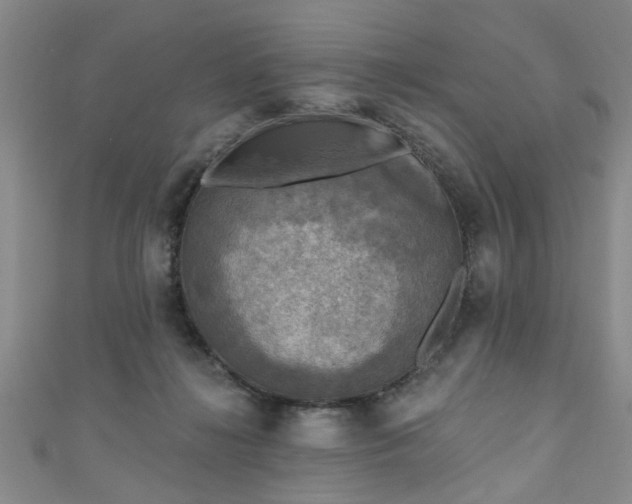 X0000110940268200906261307