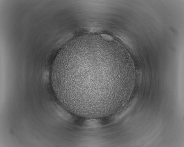 X0000110940269200906261307