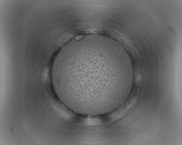 X0000110940270200906261307