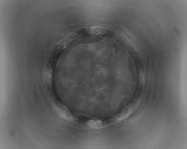 X0000110940271200906261307