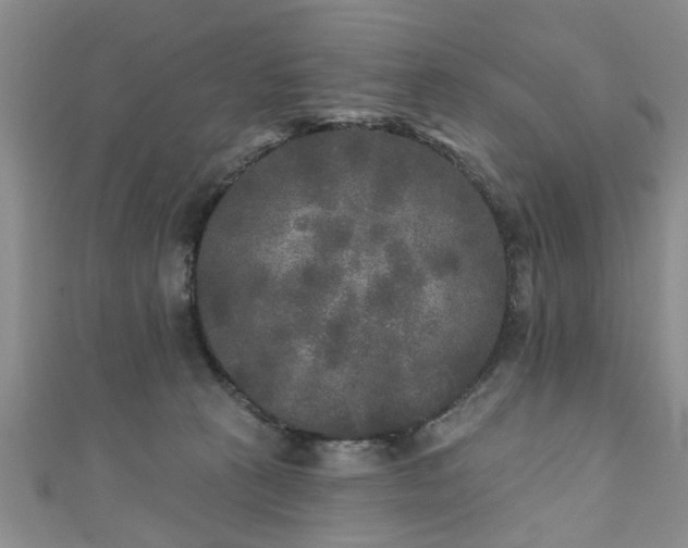 X0000110940273200906261307