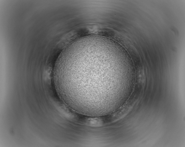 X0000110940275200906261307