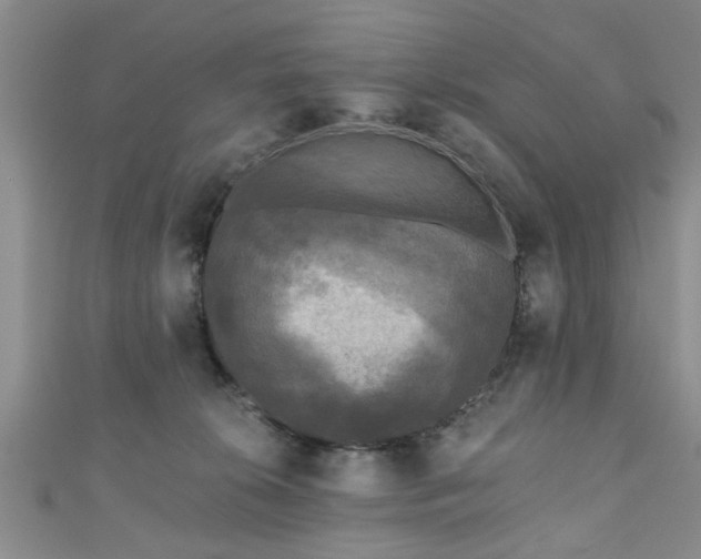 X0000110940276200906261307