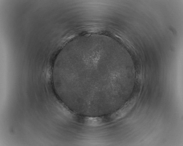 X0000110940277200906261307