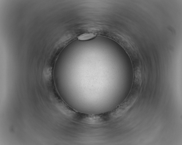 X0000110940278200906261307