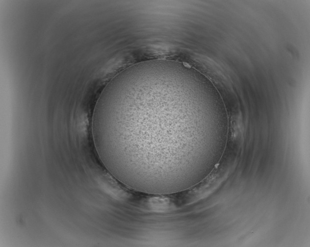 X0000110940279200906261307