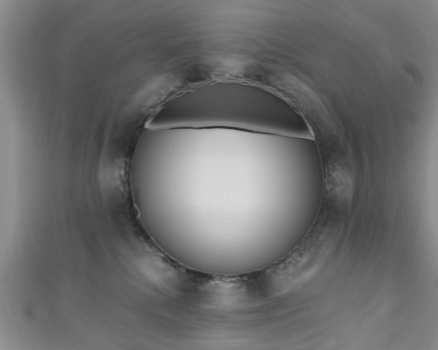 X0000110940280200906261307