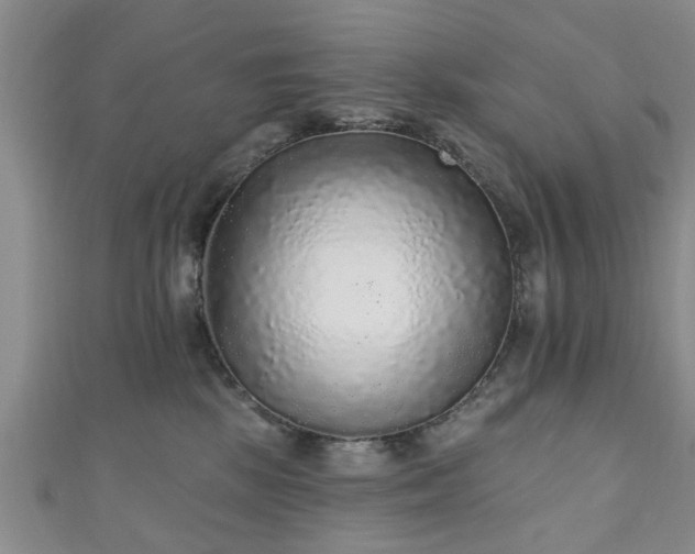 X0000110940281200906261307