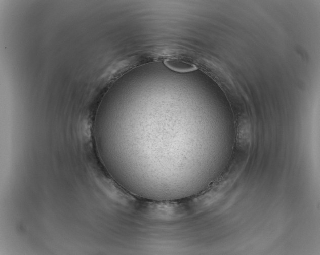 X0000110940282200906261307