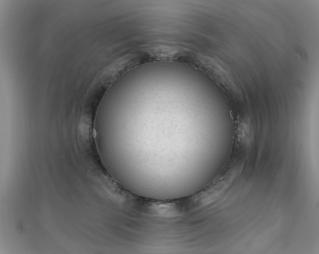 X0000110940283200906261307