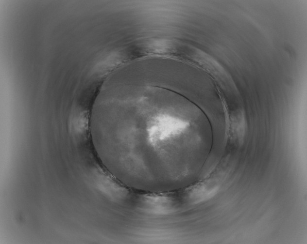 X0000110940284200906261307