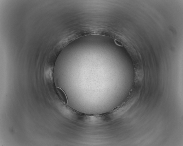 X0000110940286200906261307