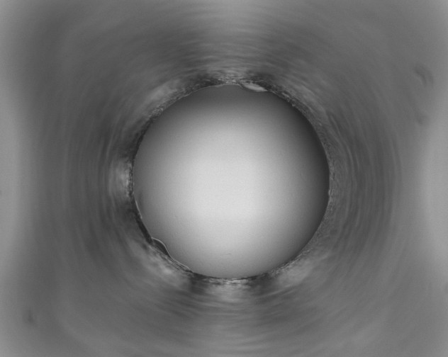 X0000110940288200906261307