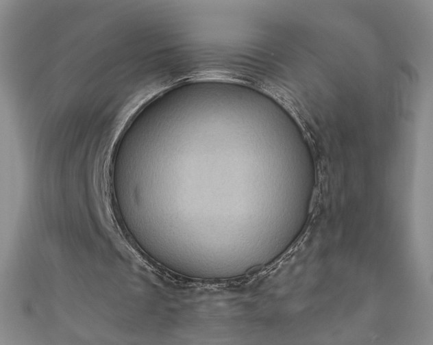 X0000110940289200906261306