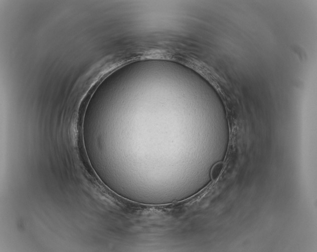 X0000110940290200906261306