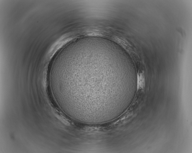 X0000110940291200906261306