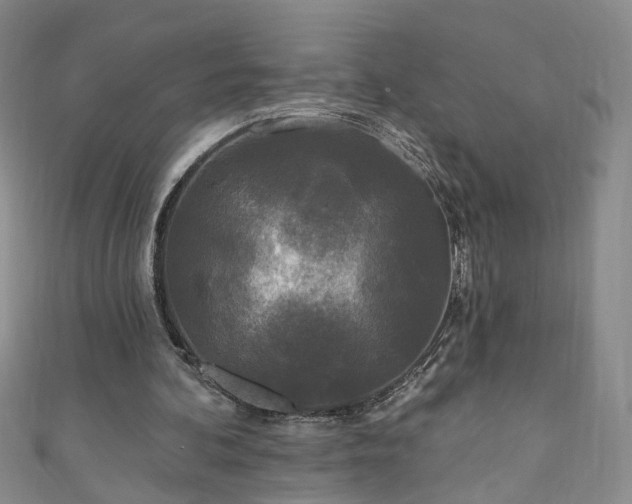 X0000110940292200906261306