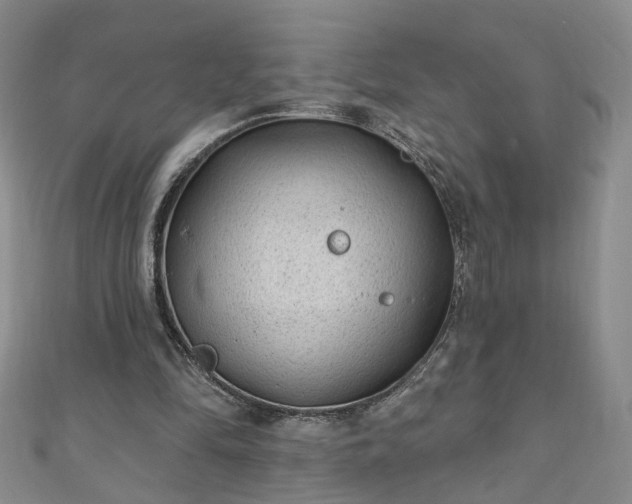 X0000110940294200906261306