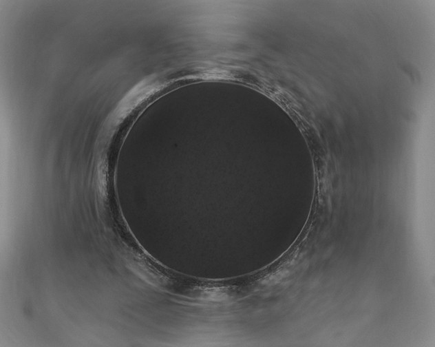 X0000110940295200906261306