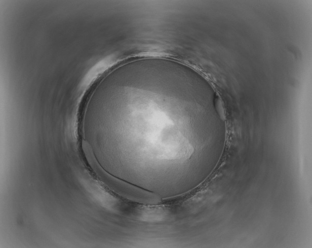 X0000110940296200906261306