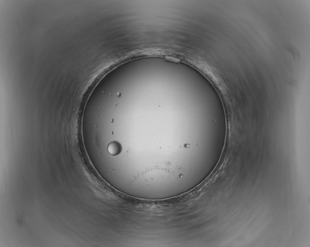 X0000110940297200906261306