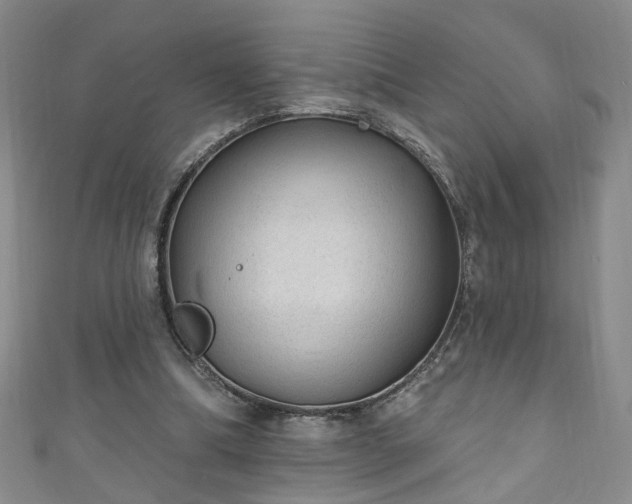 X0000110940298200906261306