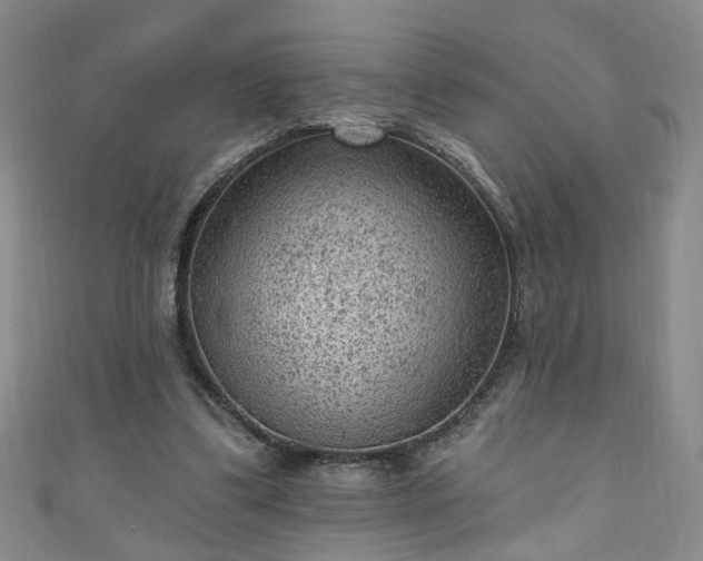 X0000110940299200906261306