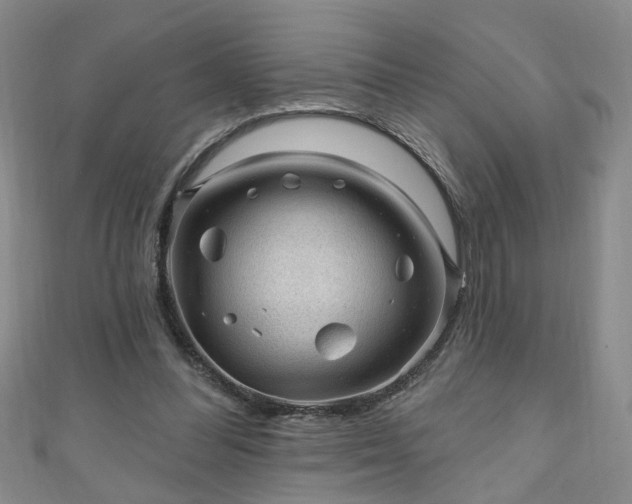 X0000110940300200906261306