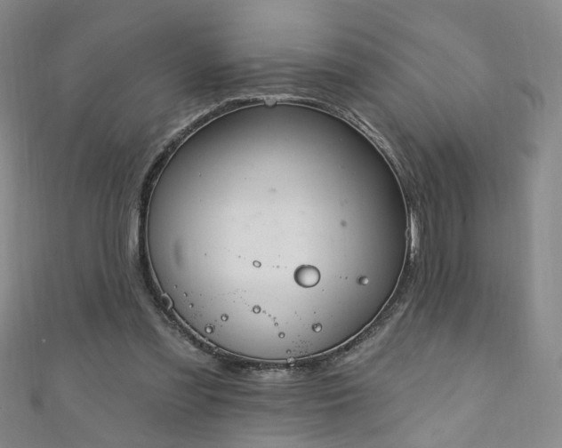 X0000110940301200906261306